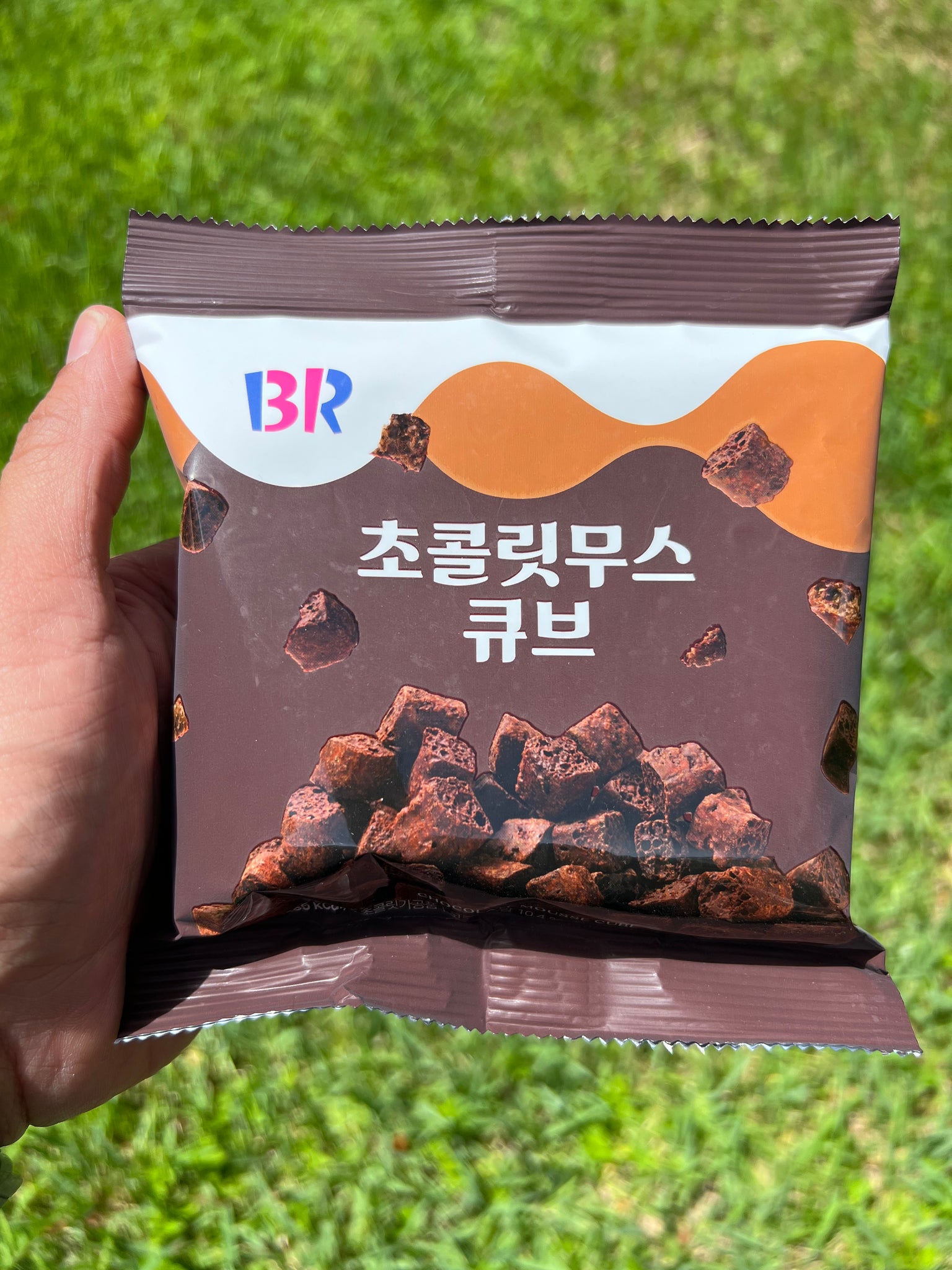 Baskin Robbins Chocolate Mousse Cubes (Korea)