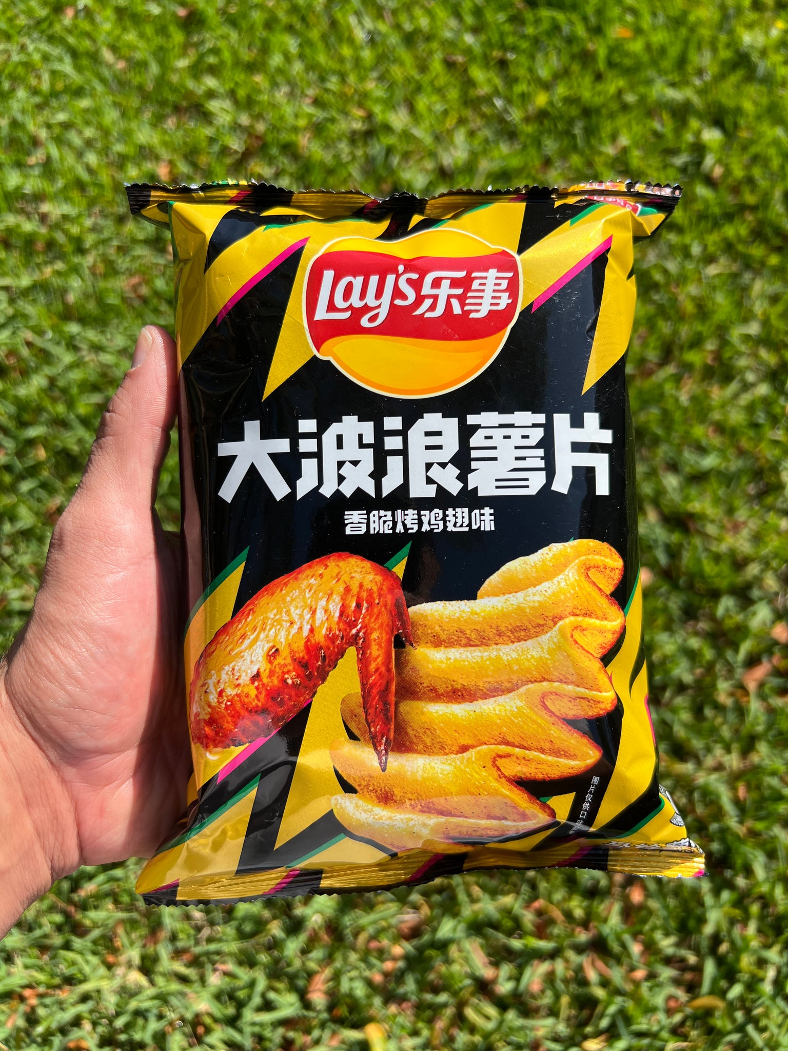 Lay’s Roasted Chicken Wing (China)