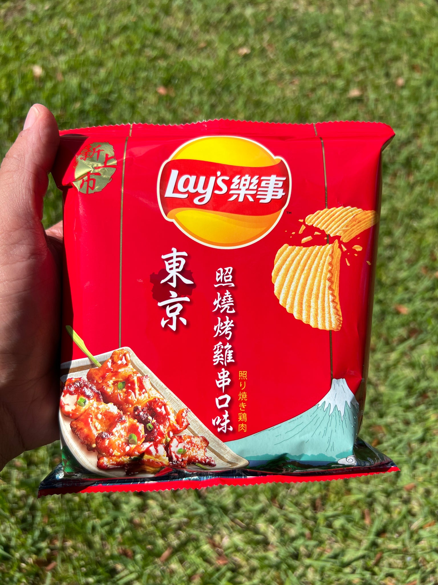 Lay’s Grilled Chicken Skewer (Taiwan)