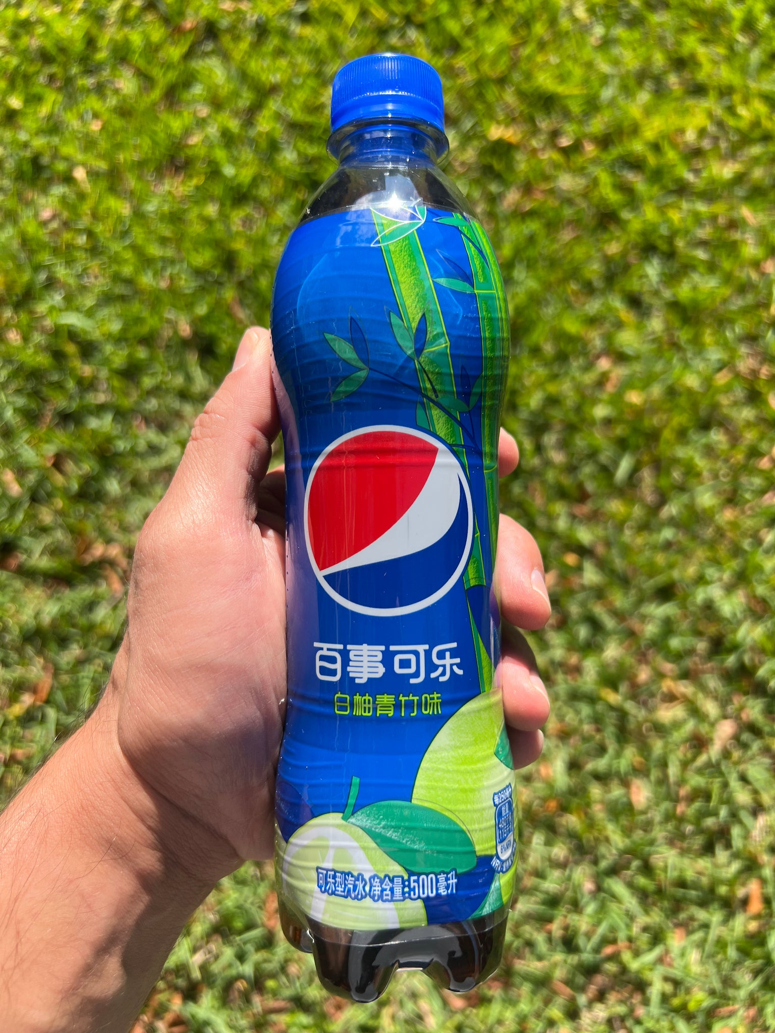 Pepsi Pomelo Bamboo (China)