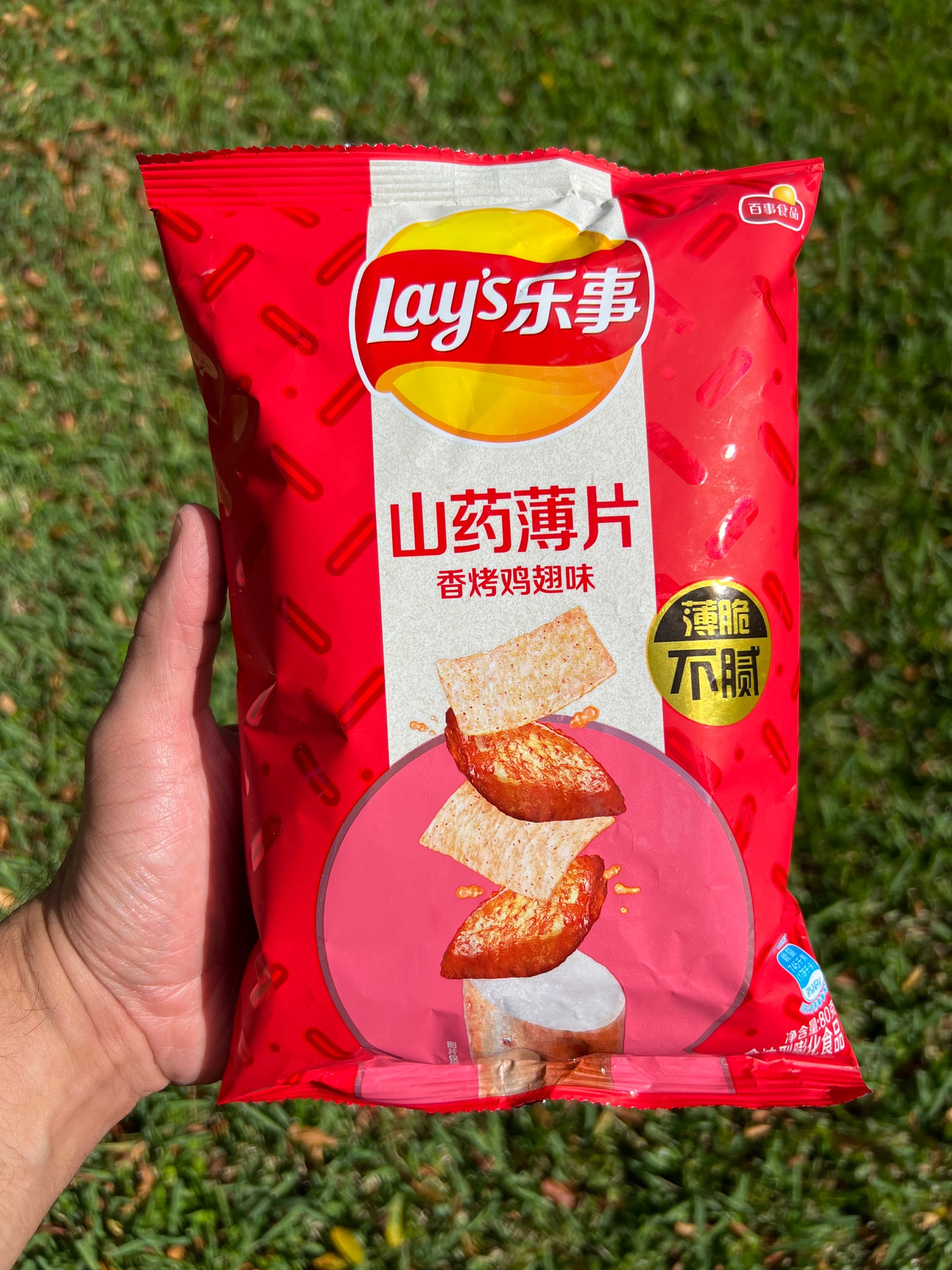 Lay’s Yam Chicken Wing (China)