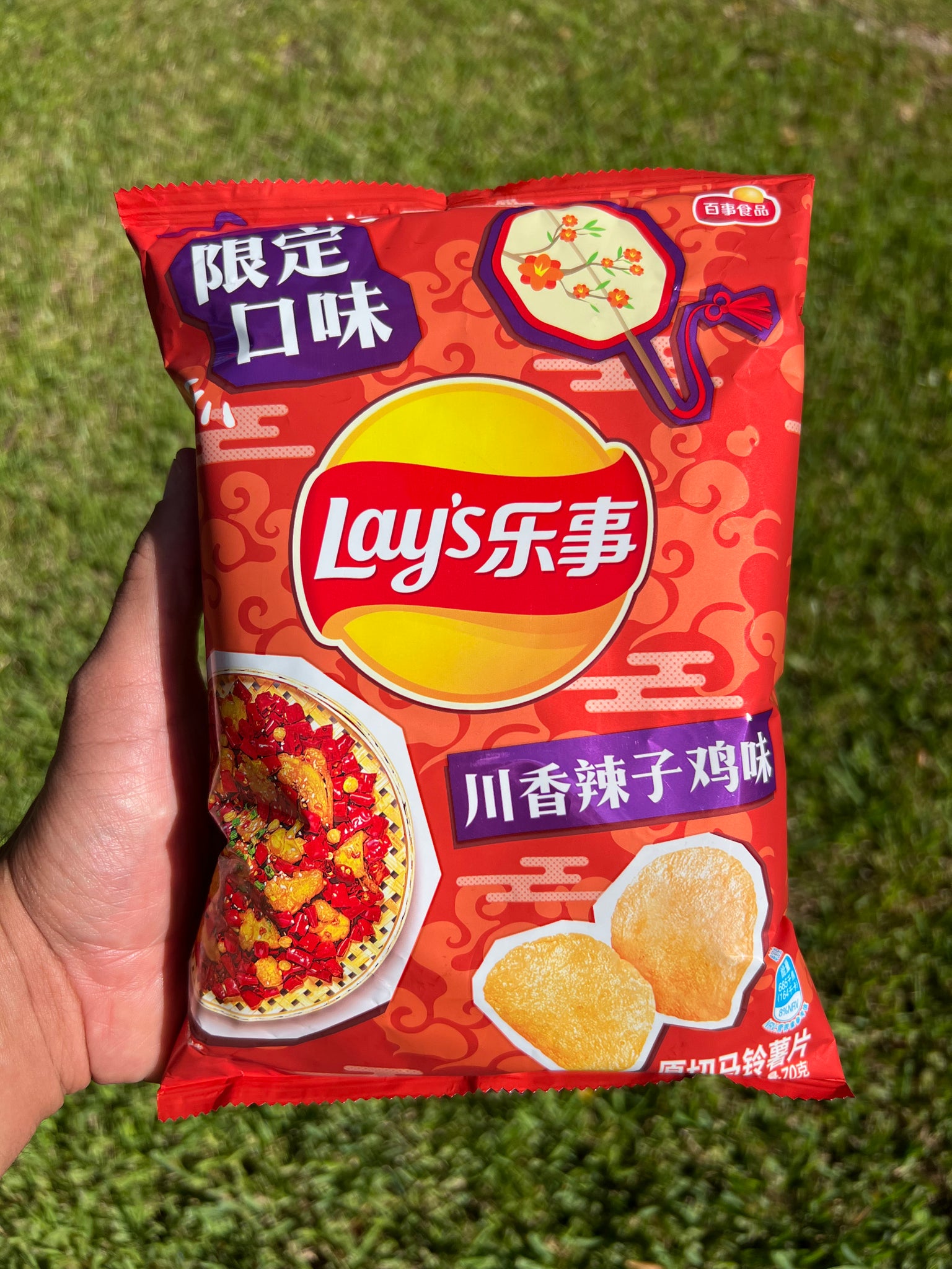 Lay’s Sichuan Spicy Chicken (China)
